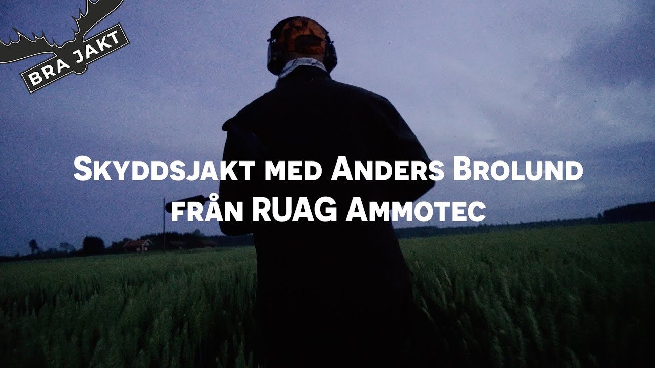Skyddsjakt p&aring; vildsvin |&nbsp;BRA JAKT