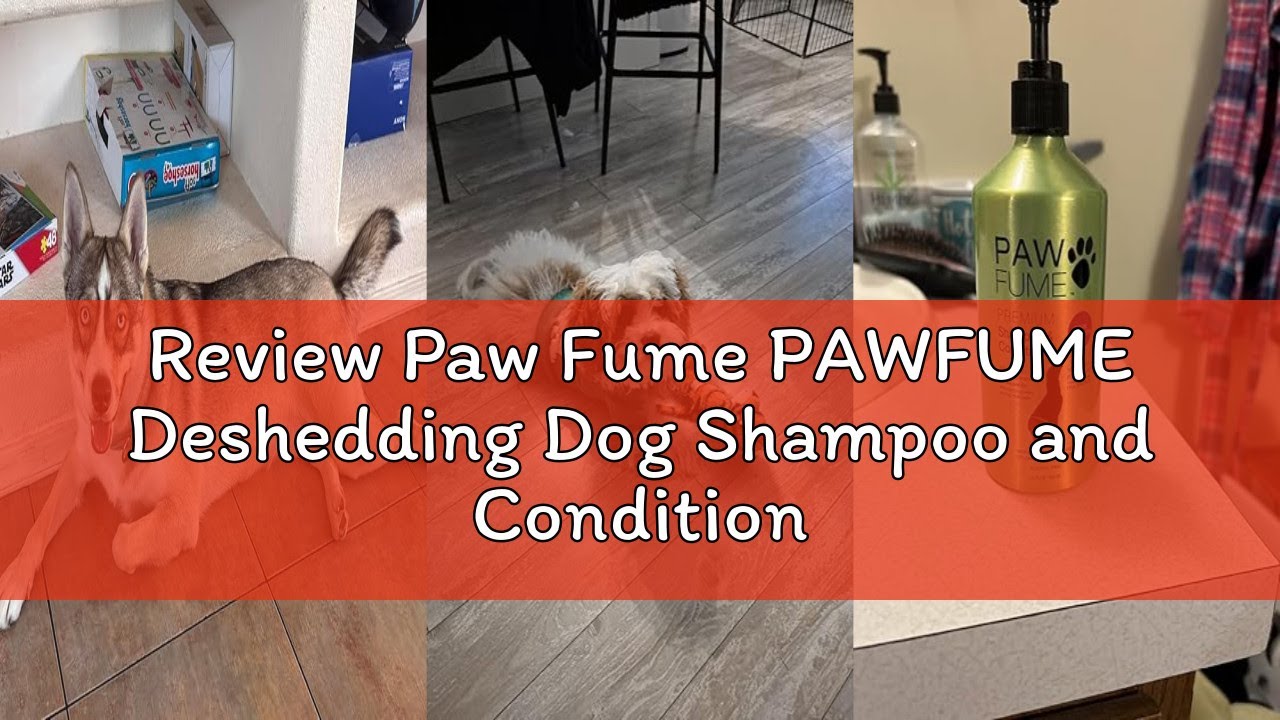 Review Paw Fume PAWFUME Deshedding Dog Shampoo and Conditioner, Show Dog, 1-Pack – Nourish & Detangl