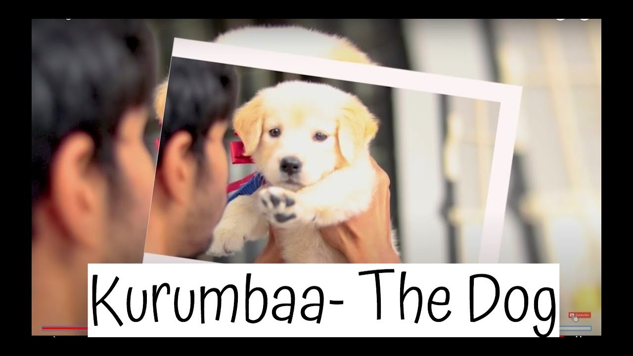 A Dog’s Voice ft.Kurumba Tamil Short film 2019