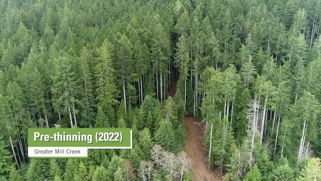 Mill Creek Restoration Aerial Monitoring (A) | Save the Redwoods League