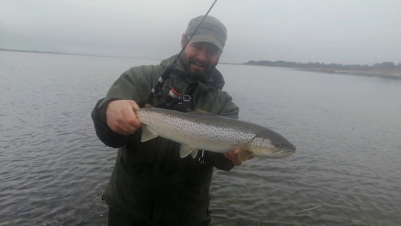 Limfjorden - februar 2020