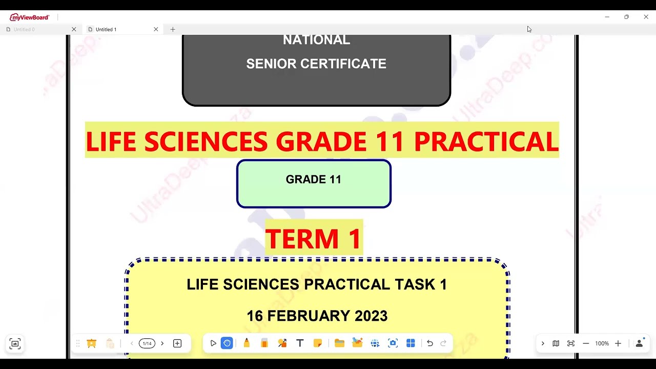 Life Sciences Grade 11 Practical Investigation Term 1 2023