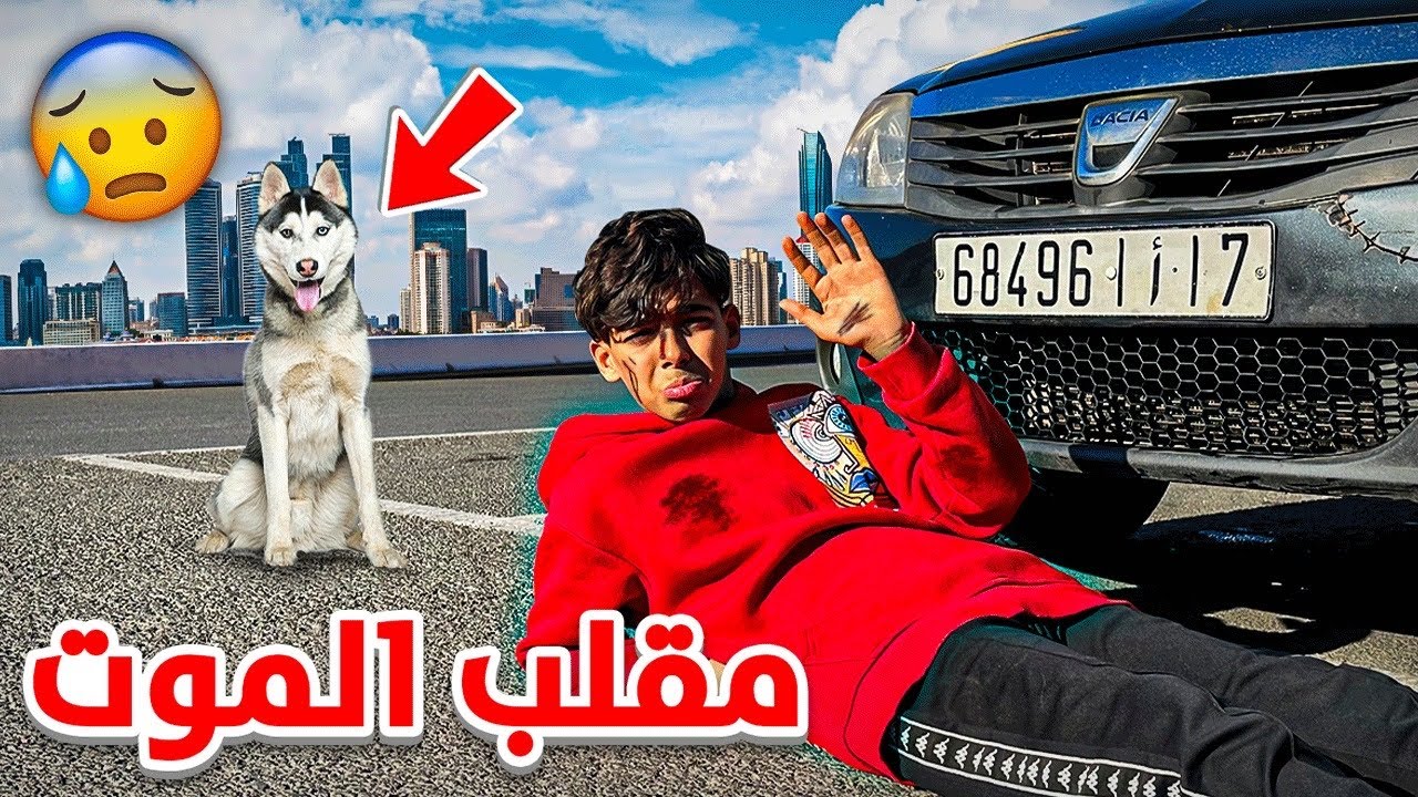 أخي ضرباتو سيارة أمام الكلب 🐕😱🚗 شوفوا ردة فعل الكلب 💔😰