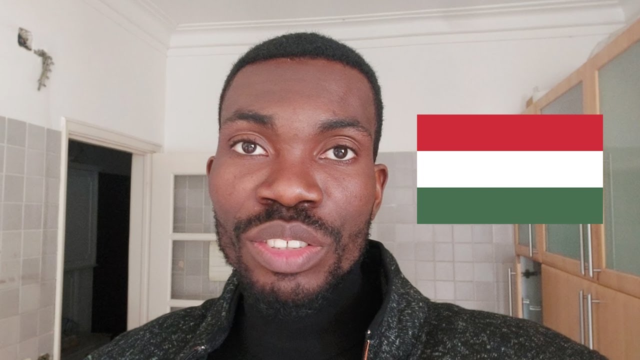 Move To HUNGARY in SEPTEMBER 2025 with These CHEAP UNIVERSITIES for Bsc and Msc Programs
