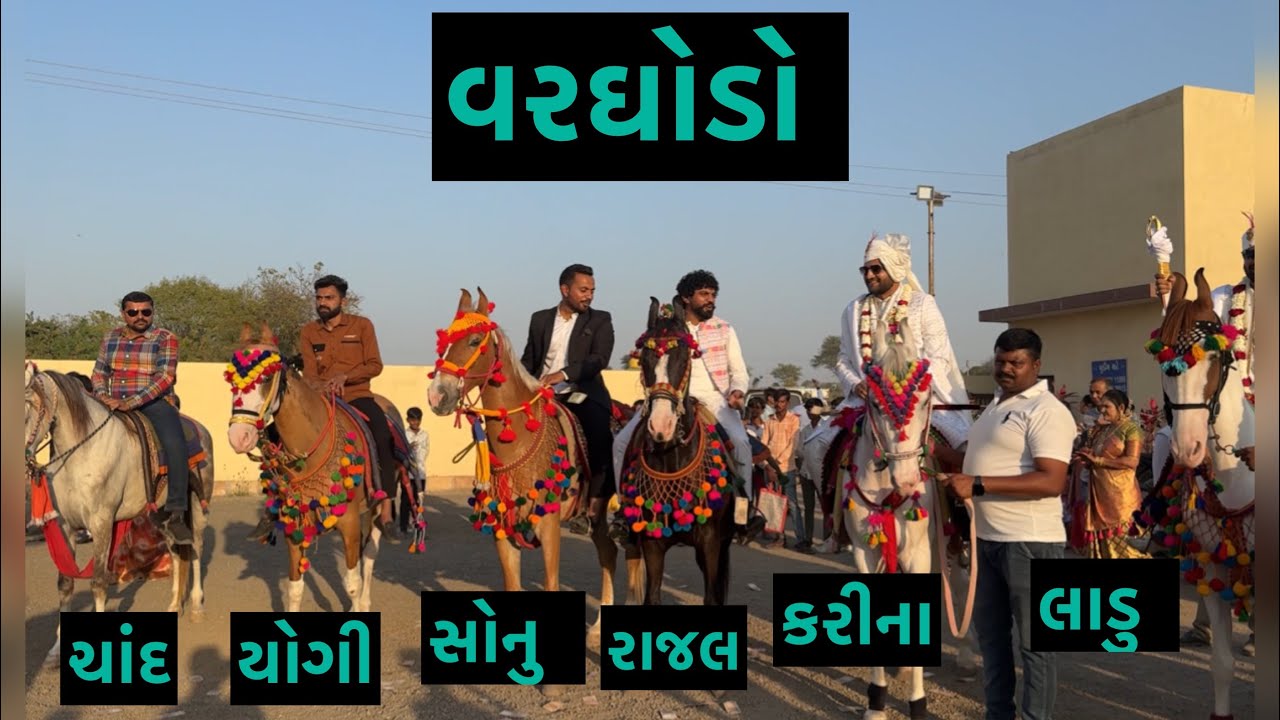 વરઘોડો | Jay Sakariya | Varghodo | Horse Video | Horse Vlog | Fuleku | Daily Vlog | Farm Vlog | Fun