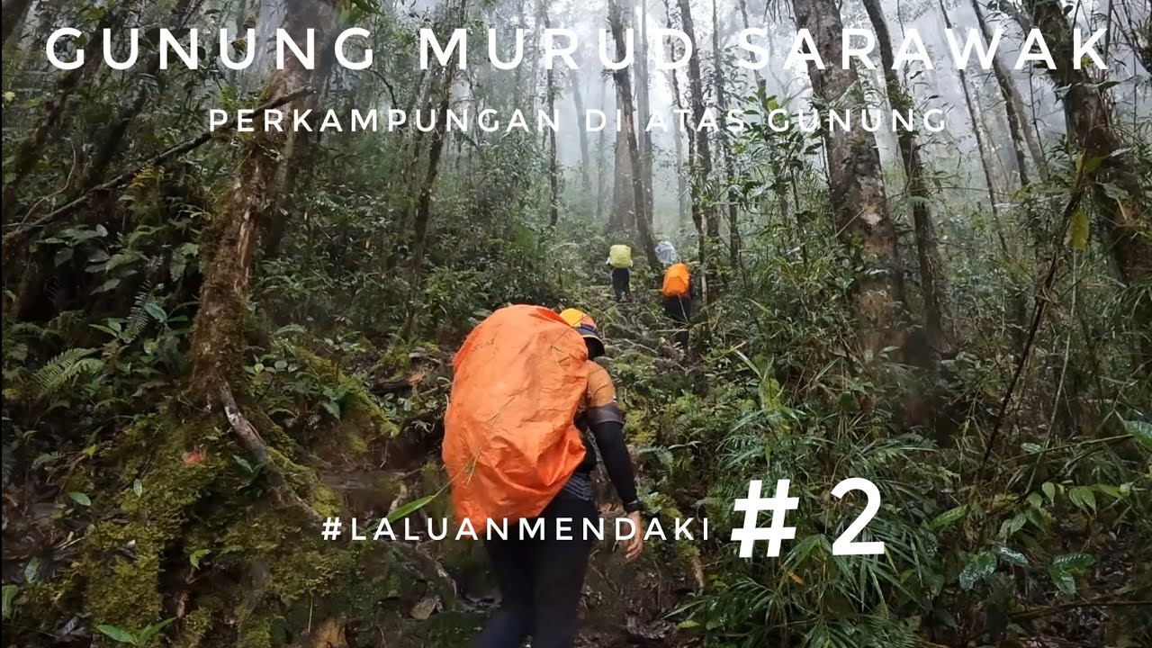 Gunung Murud,Sarawak | Ep 2 #LaluanMendaki #gengEKSpidiSI