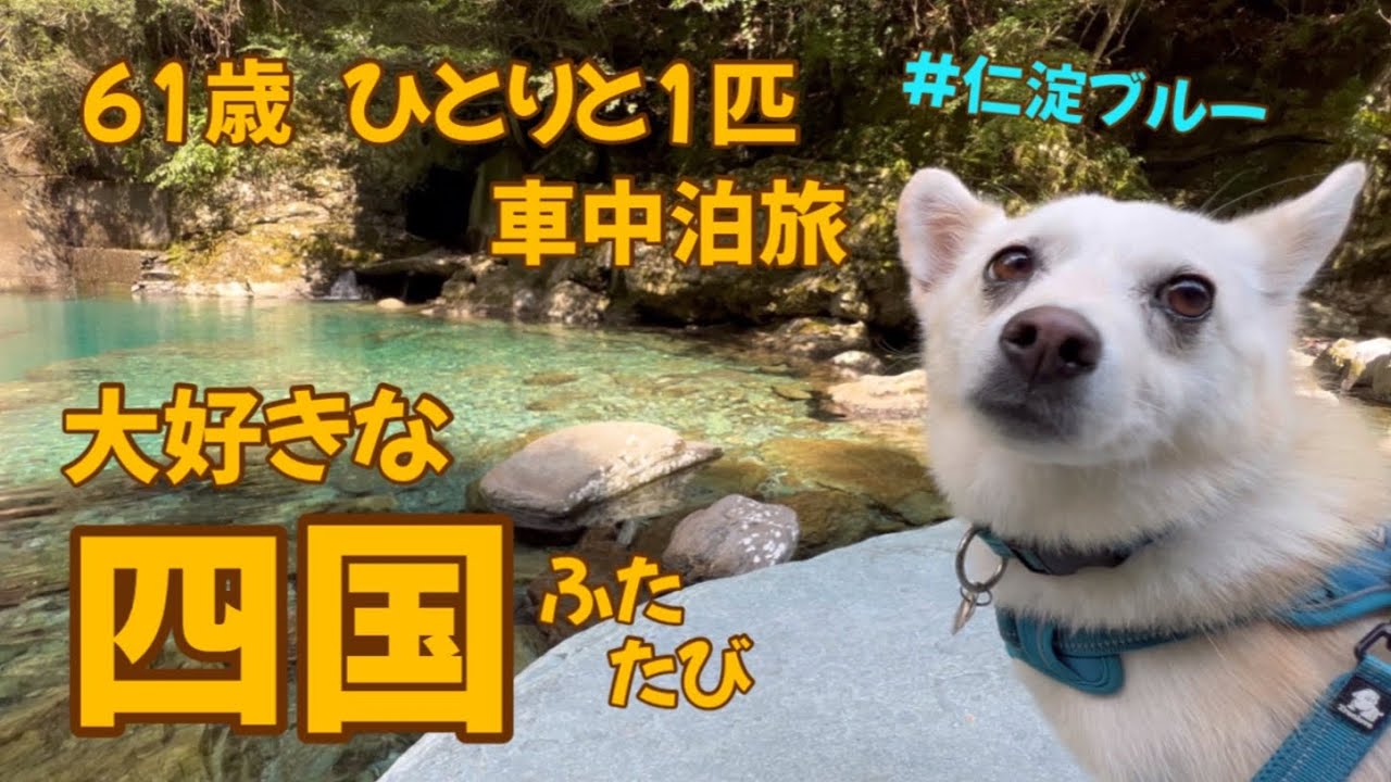 【犬と車中泊旅】61歳ひとりと1匹　四国旅