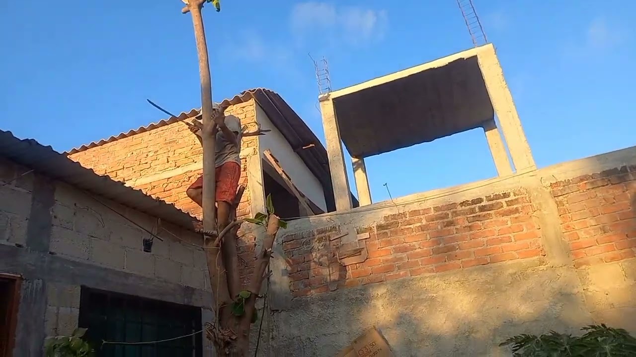 ✅️RELLÉNAMOS EL PATIO✨️ PODAMOS EL🌳
