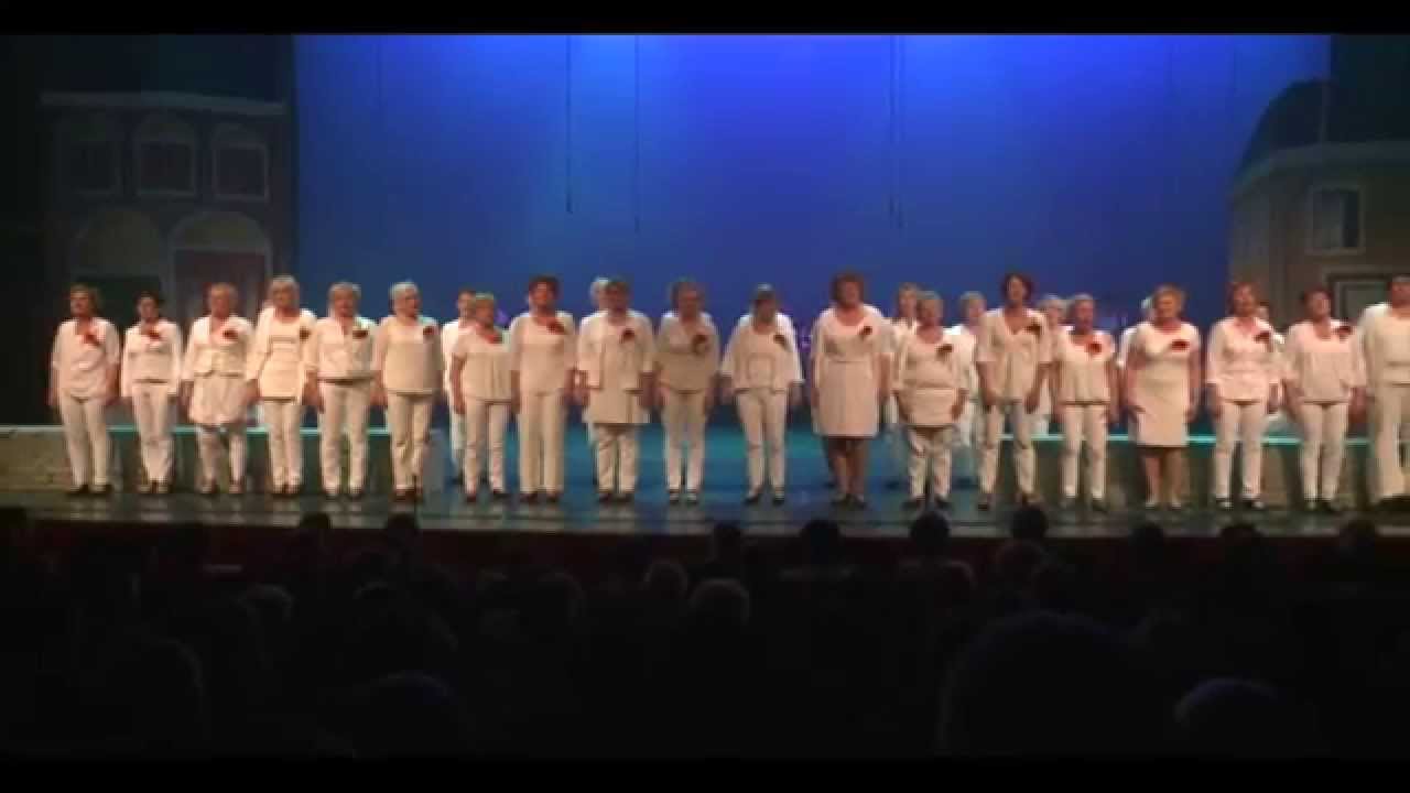 Terug Naar De Kust - Different Voices