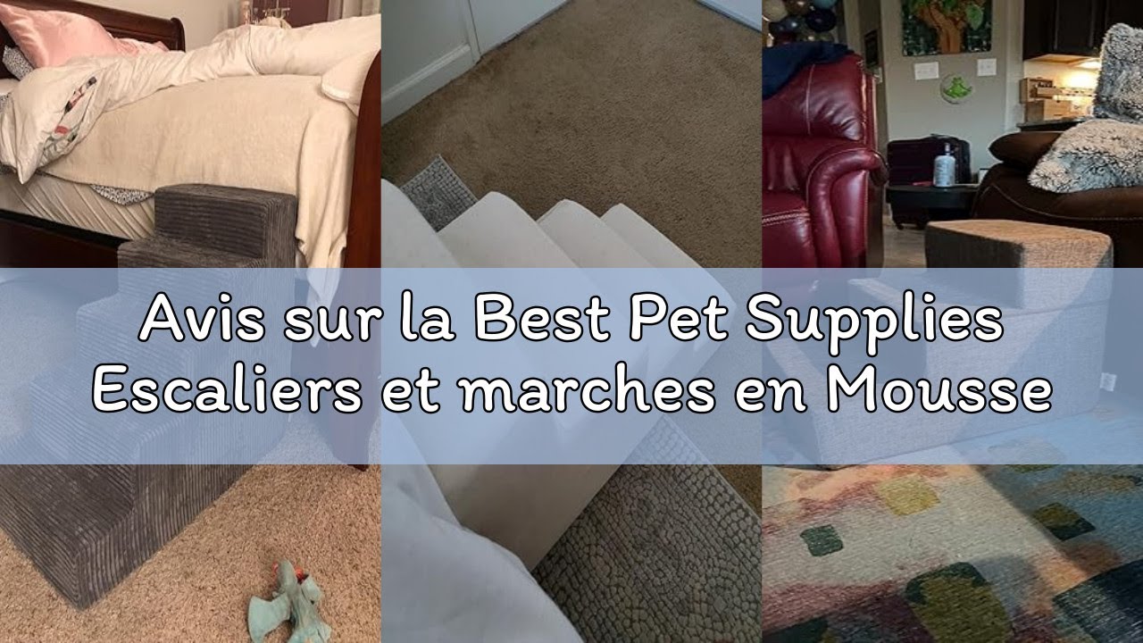 Avis sur la Best Pet Supplies Escaliers et marches en Mousse pour Chiens et Chats de Petite Taille,