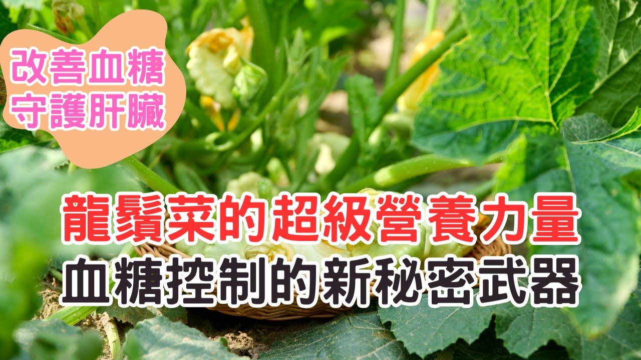 詳解龍鬚菜的超級營養力量，血糖控制的新秘密武器