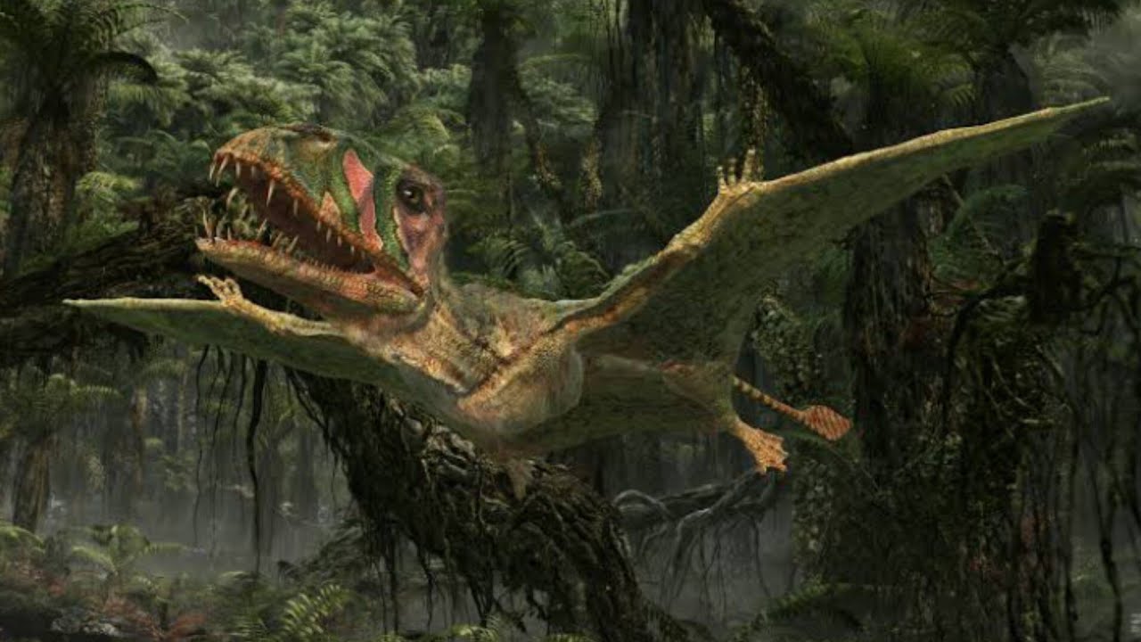 Flying Monsters [2011] - Dimorphodon Screen Time