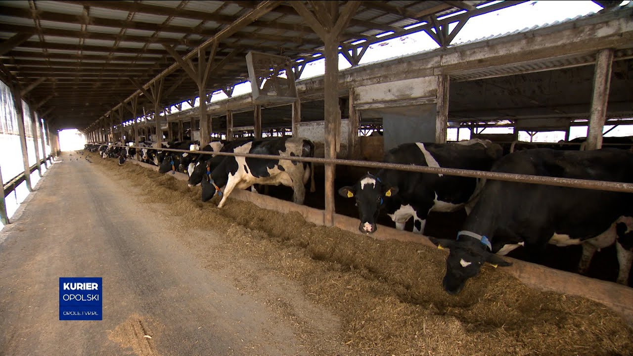 Będą masowe zwolnienia w Głubczycach? Czy jest szansa na ratunek?