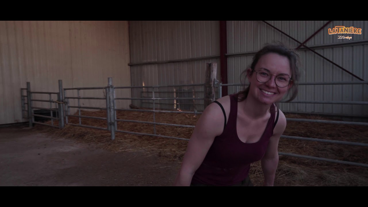 REPORTAGE - LA TANIÈRE - ZOO REFUGE