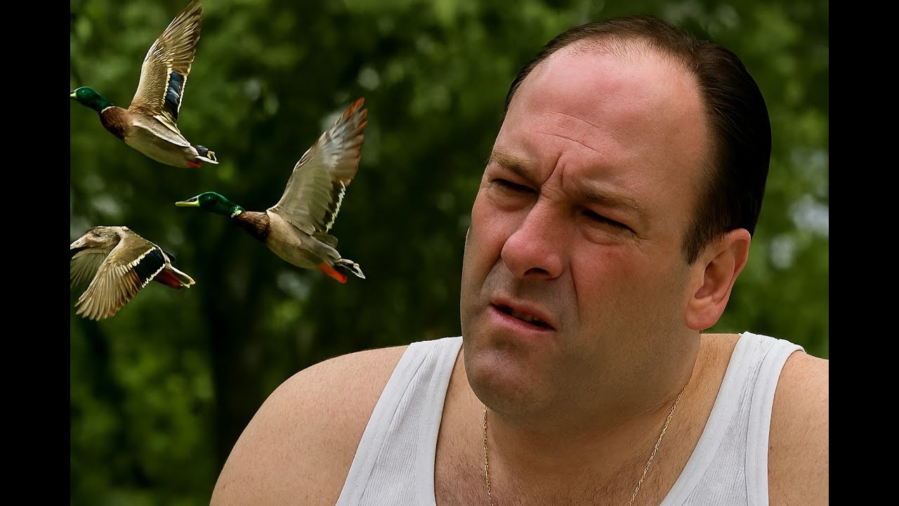 The Sopranos: Tony&rsquo;s Panic Attack Over Ducks