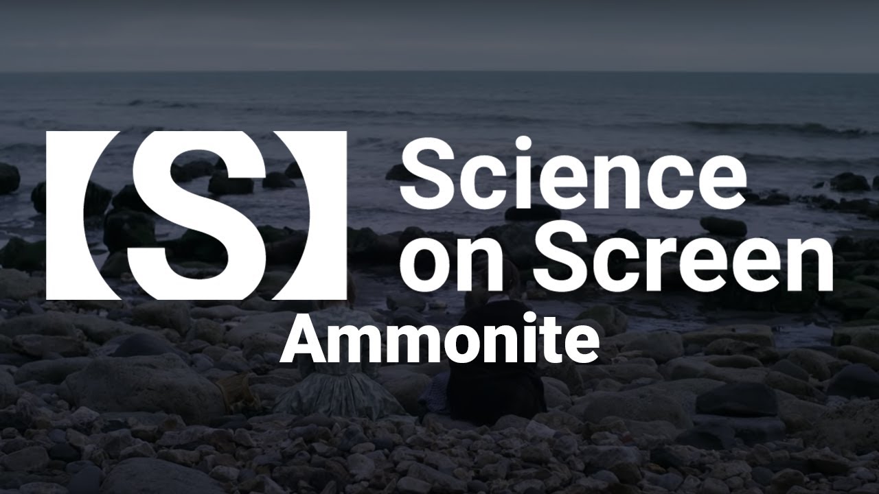 Paleontology for All: AMMONITE