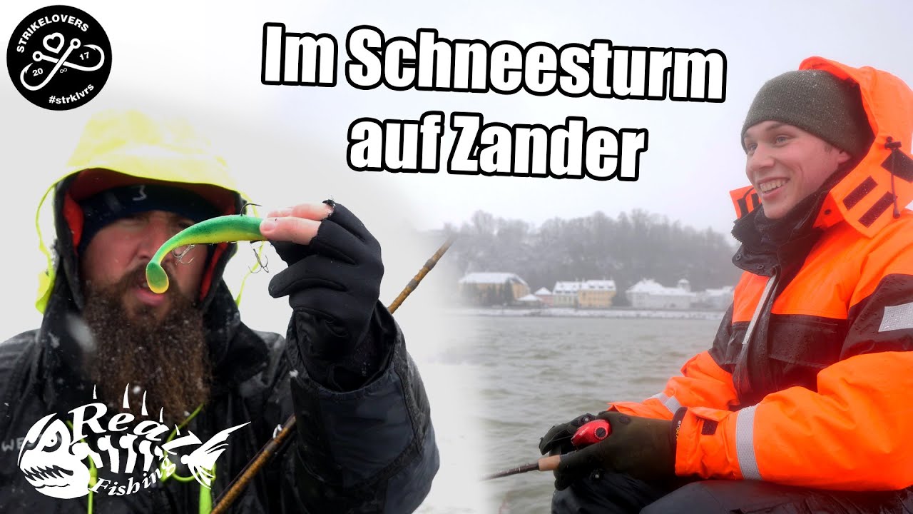 VERTIKAL auf Zander und Huchen im Winter // Mit StrikeLovers an der Donau