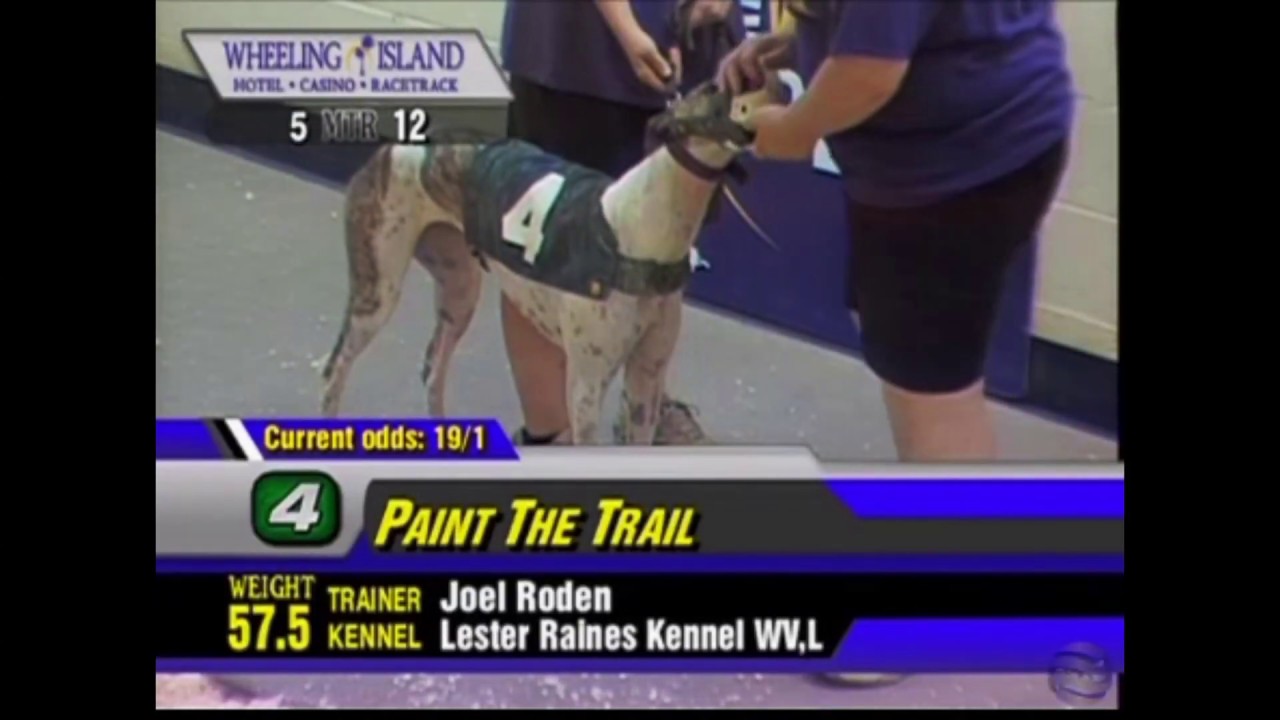 #4 Paint The Trail Wins at Wheeling Grade A pulling away
