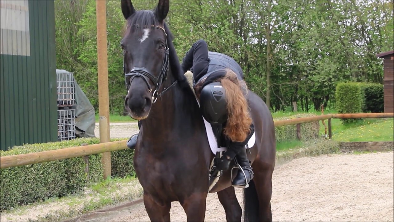 Dayleena *2012 & 12 jähriges Mädchen