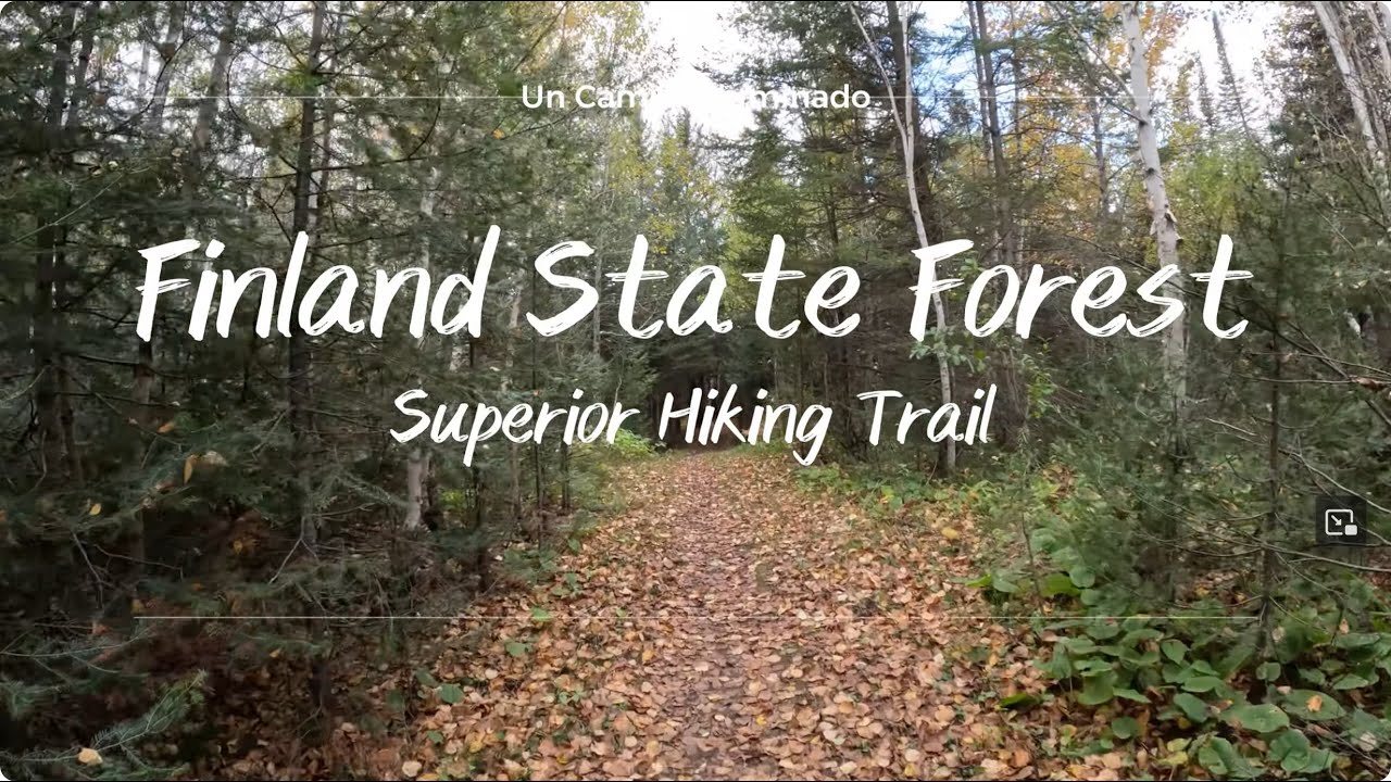 Finland State Forest in Minnesota - Superior Hiking Trail to Sonju Lake [4K]