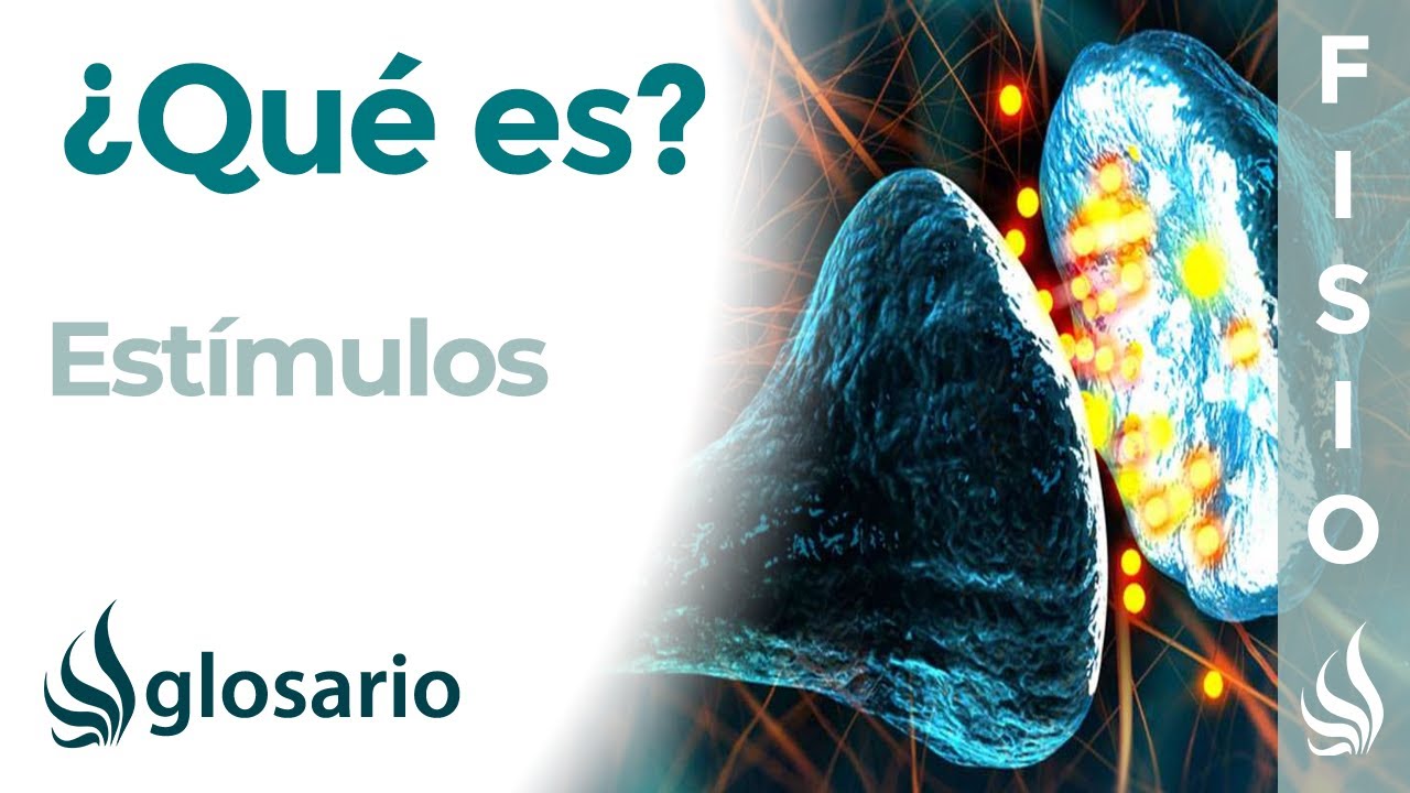 EST&Iacute;MULOS | Qu&eacute; son, tipos, mecanismo de acci&oacute;n, por qu&eacute; se generan e importancia