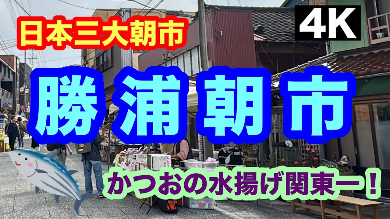 【勝浦朝市】活気と人情が織りなす、 千葉の食と文化を巡る旅　　日本三大朝市の一つ「勝浦朝市」に行ってきました！朝市の様子をお届けします。 KATUURA MARKET