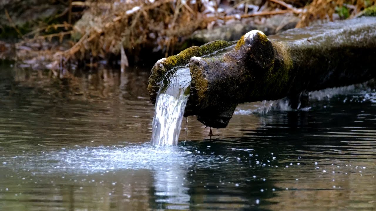 10 Hours of Gentle Water Fountain Flow from a Wooden Log – Deep Sleep, Meditation & Relaxation