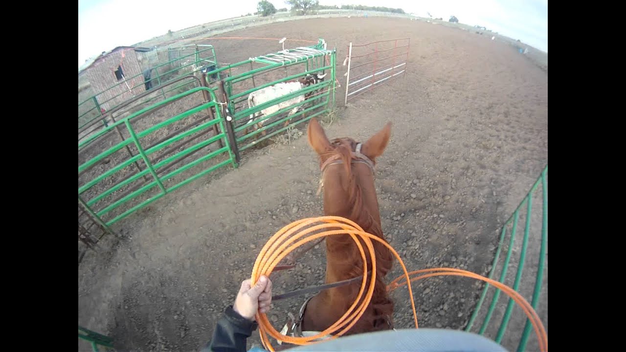 Team Roping With GoPro Hero Camera