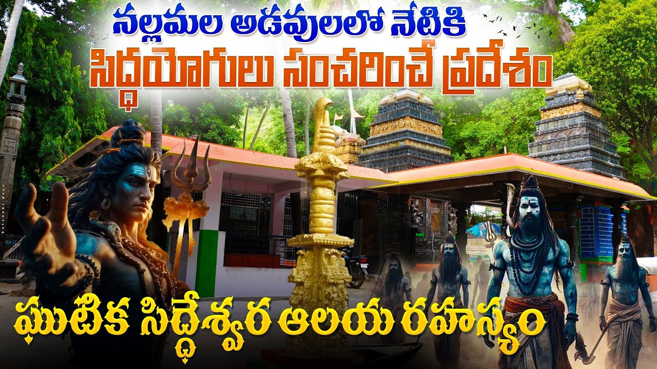 ఘుటిక సిద్ధేశ్వర ఆలయ రహస్యం || History of Ghutika Siddeswaram Temple || Andhra Pradesh
