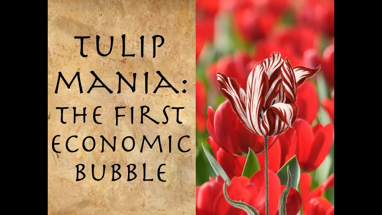 Tulip Mania: Pierwsza bańka ekonomiczna