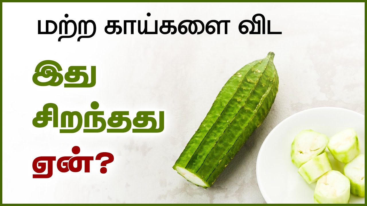 Ridge Gourd Benefits in Tamil - Peerkangai | 24 Tamil Health