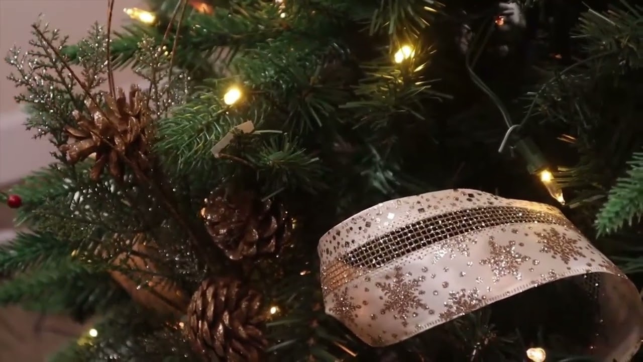 #Navidad | Catequesis sobre el origen del &Aacute;rbol de Navidad