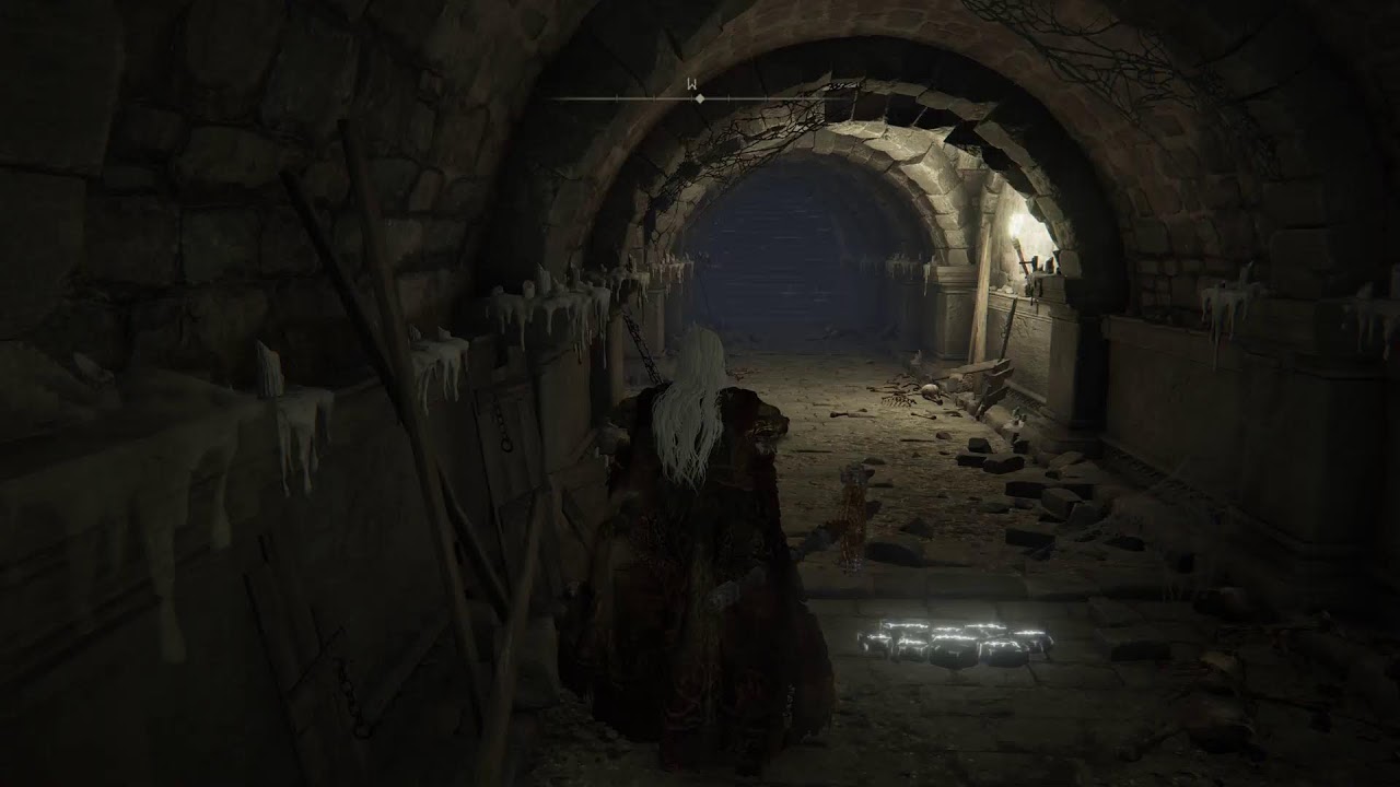 Elden Ring end game boss farming on PS5 wooooo