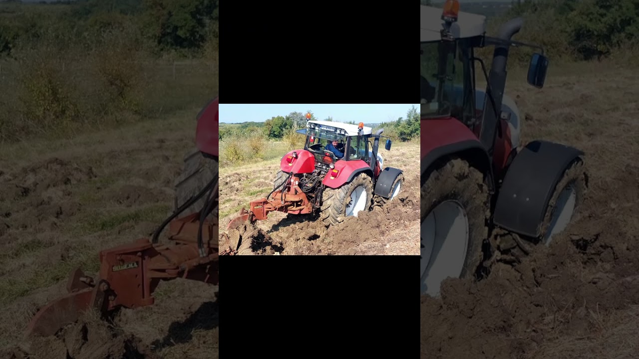 Priprema terena i podizanje višegodišnjih nasada - ISTRA 