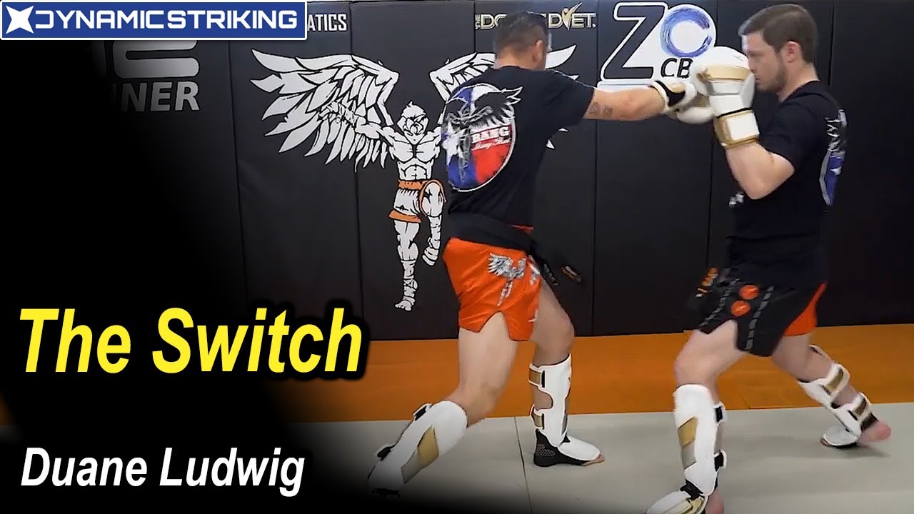 The Switch by Duane Ludwig