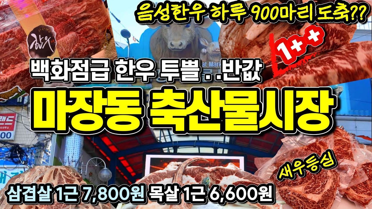 [++1 투뿔한우] 음성 한우 하루 900마리 도축? 전국최대 마장축산물시장 박터졌다! 백화점급 이상 투뿔한우 점포마다 하루 수천만원 판매하는 축산물 성지 정육점 TOP3 공개