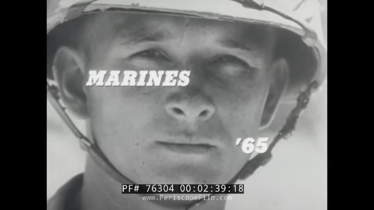 Корпус морской пехоты США 1965 г., Война во Вьетнаме, Доминиканская Республика 76304