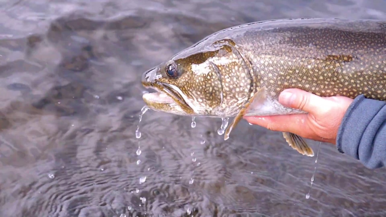 NUNAVIK Fly Fishing | Northern Quebec