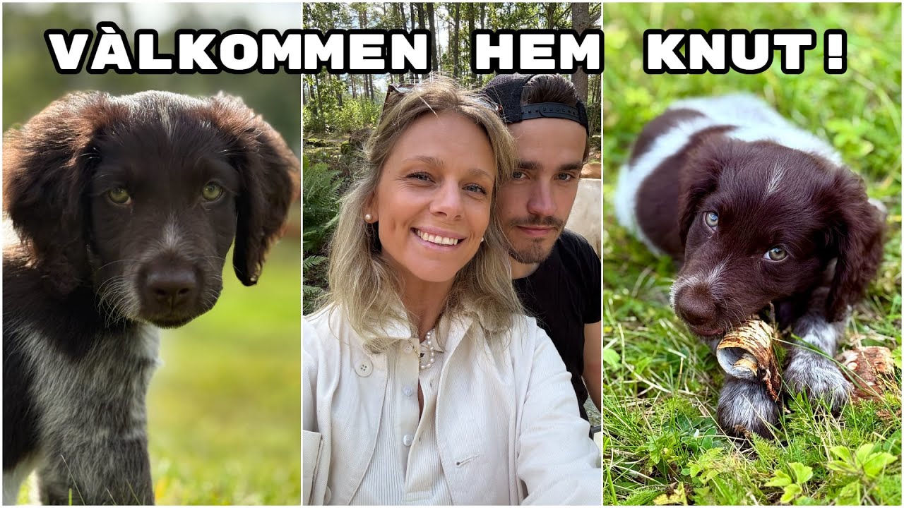 KORNA ÄR BORTA!!!!