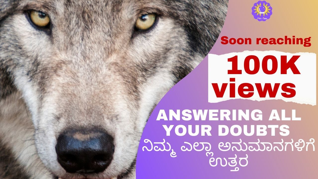 Wolf Magic Begins now 50K views|Doubts answered|ತೋಳದ ಮ್ಯಾಜಿಕ್ ಅನುಮಾನಗಳಿಗೆ ಉತ್ತರ|Part2Q&A|50,000views