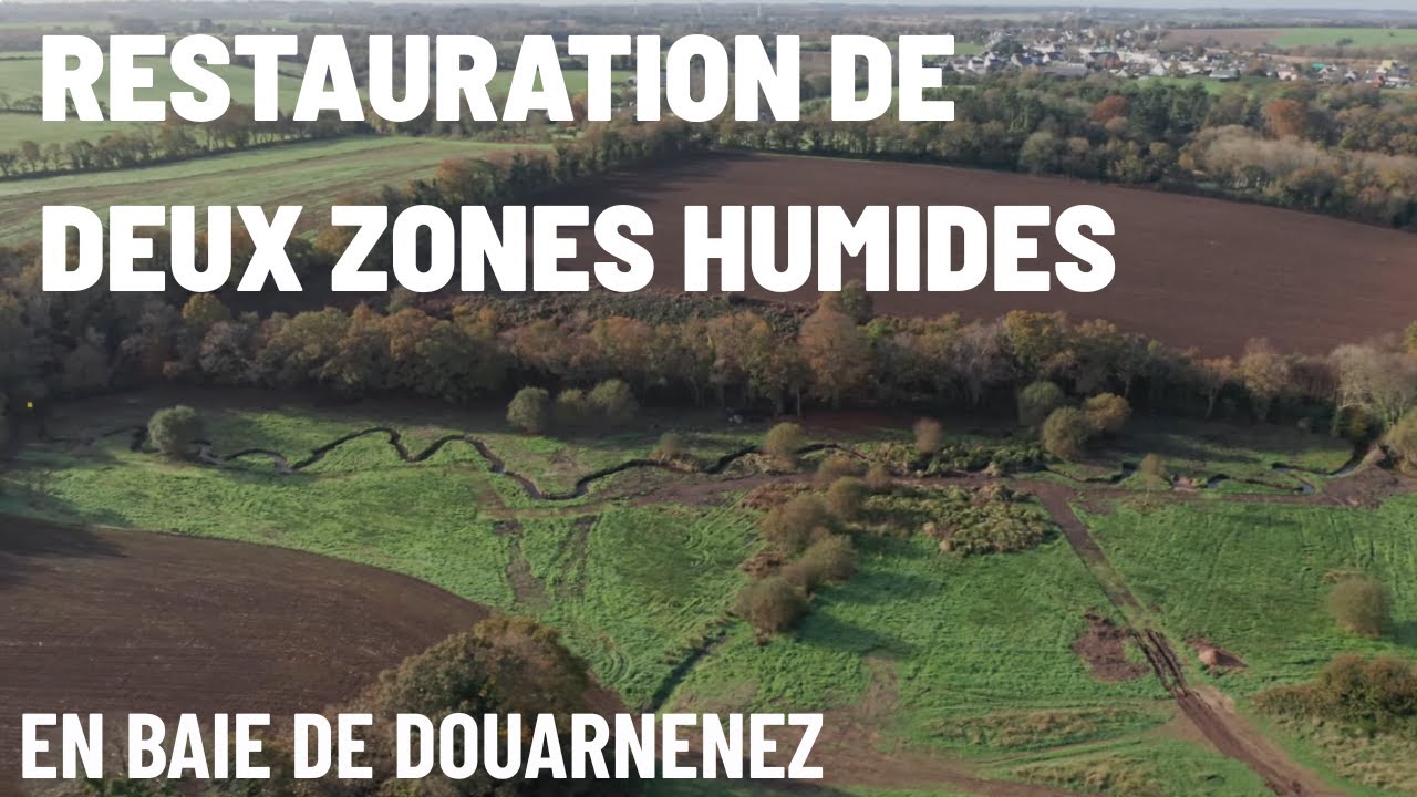 Restauration de deux zones humides - Baie de Douarnenez