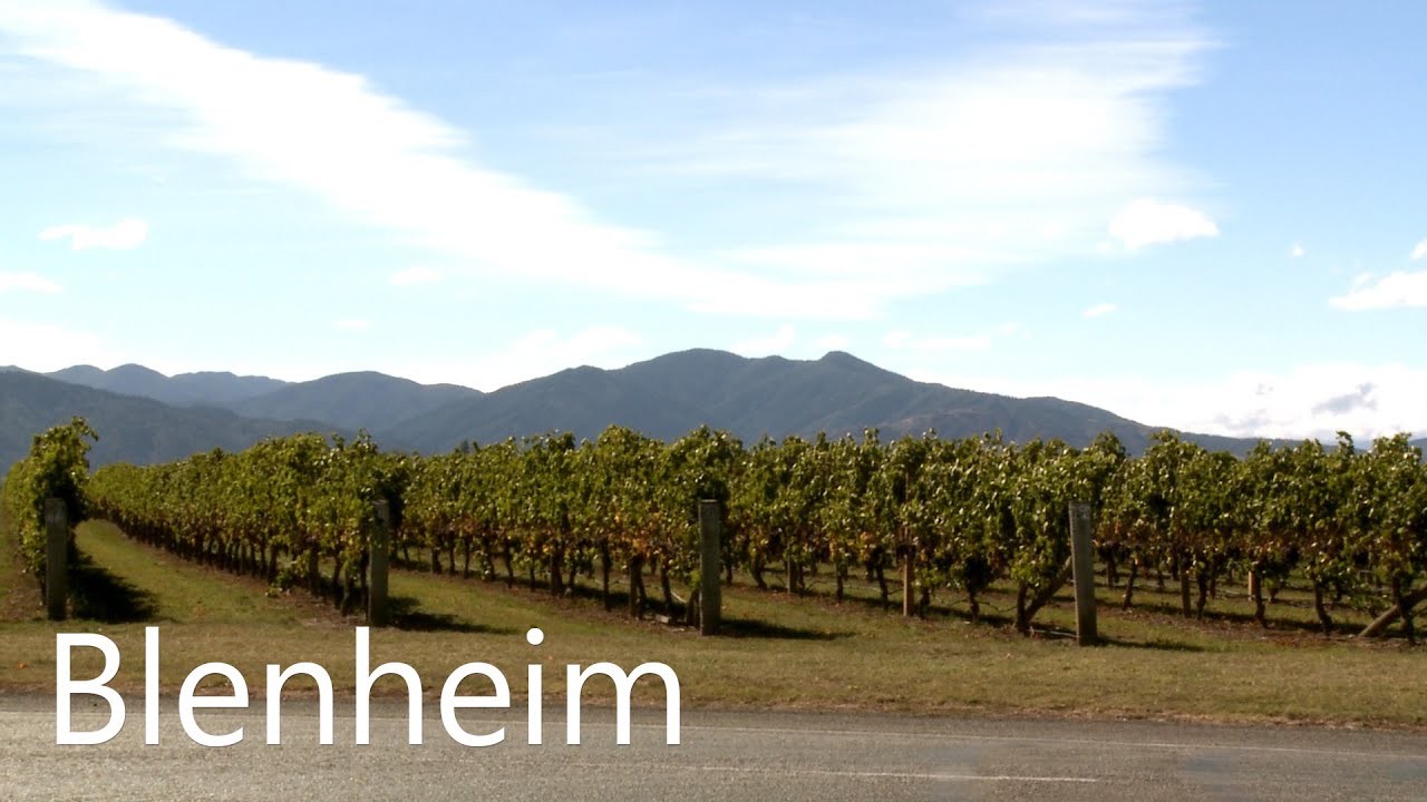 Best of Blenheim: New Zealand Wine Country, Activities, Attractions and Things to See and Do in NZ