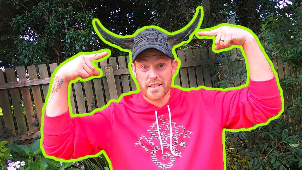 what's inside COW HORNS and COW HOOVES? | The Hoof GP