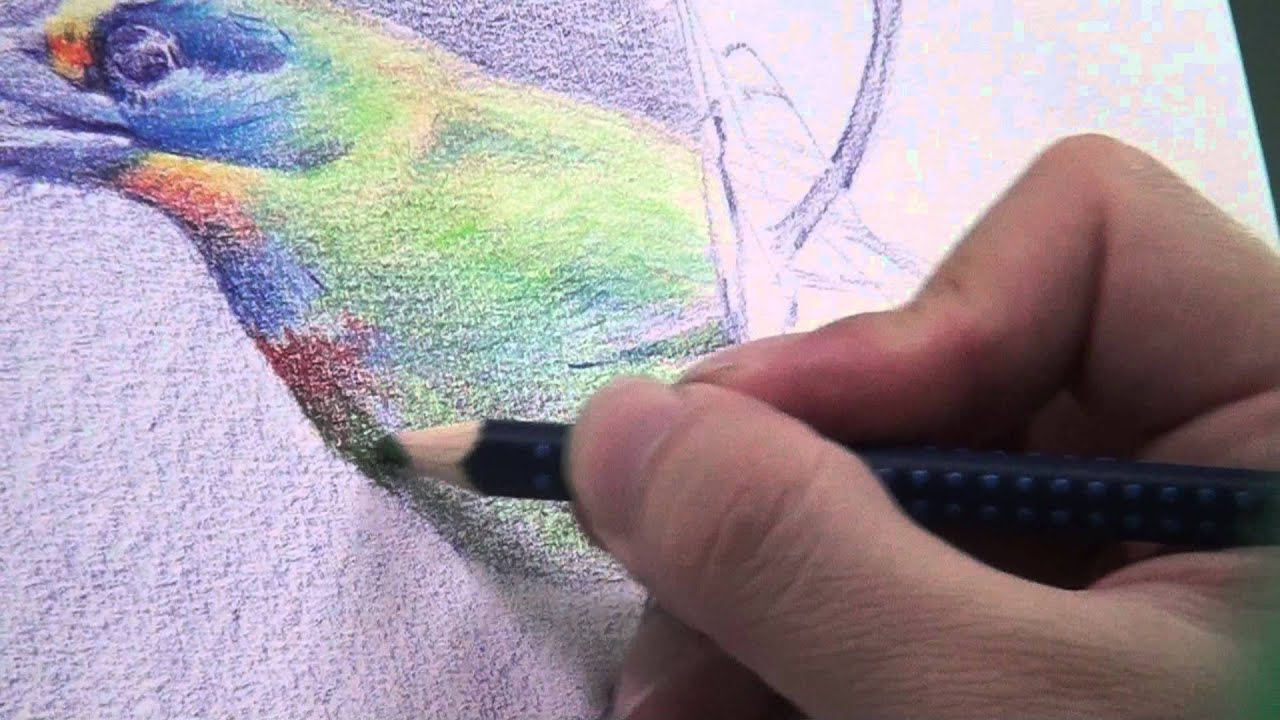20120822190811 (2).m2ts水彩色鉛筆~五色鳥之2