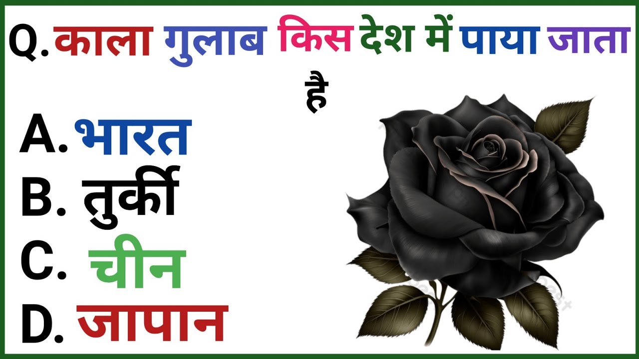 काला गुलाब किस देश में पाया जाता है || GK Questions || GK In Hindi || GK quiz || GK facts || #gk 