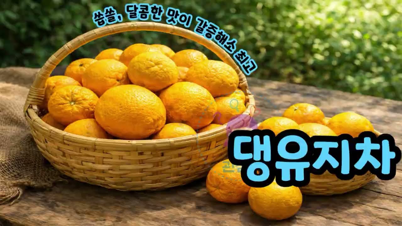 댕유지차