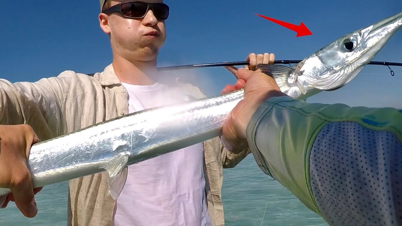 Das krankeste Topwater-Angeln / Fische auf Steroide!!!!