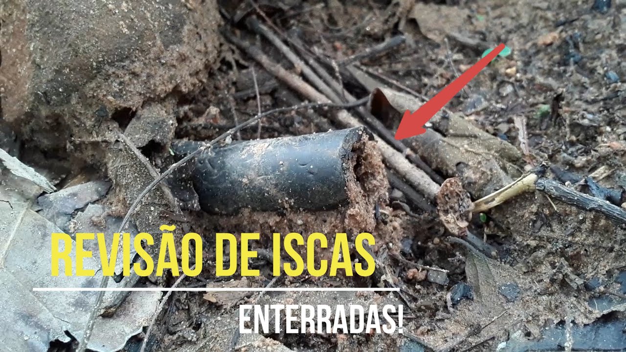 Revisão de Iscas ENTERRADAS!