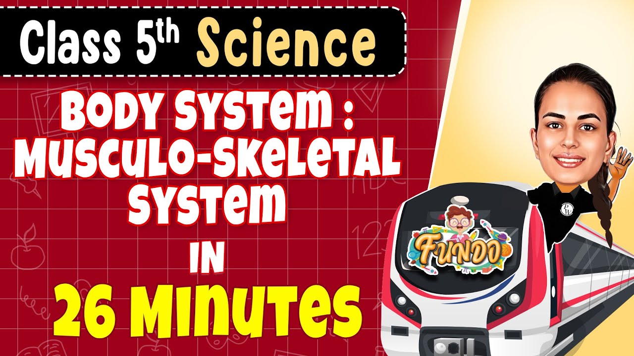 Body System : Musculo-Skeletal system in 26 Minutes || Class 5 Science || Exam Express