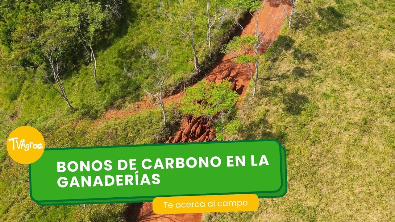 Bonos de carbono en la ganadería - TvAgro por Juan Gonzalo Angel Restrepo